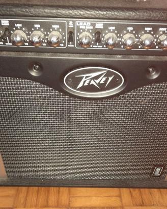 peavey envoy 110