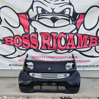 SMART 450 FARO 8 MUSATA COFANO PARAURTI PARAFANGHI