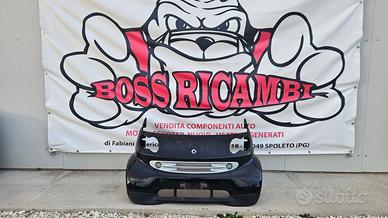 SMART 450 FARO 8 MUSATA COFANO PARAURTI PARAFANGHI