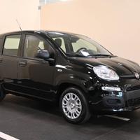 FIAT Panda 3ª serie Panda 1.0 FireFly S&S Hybrid