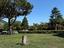 Immagine 21