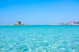 Mare