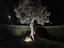 Immagine 30