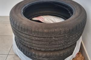 due gomme 255/55 R 18  98V