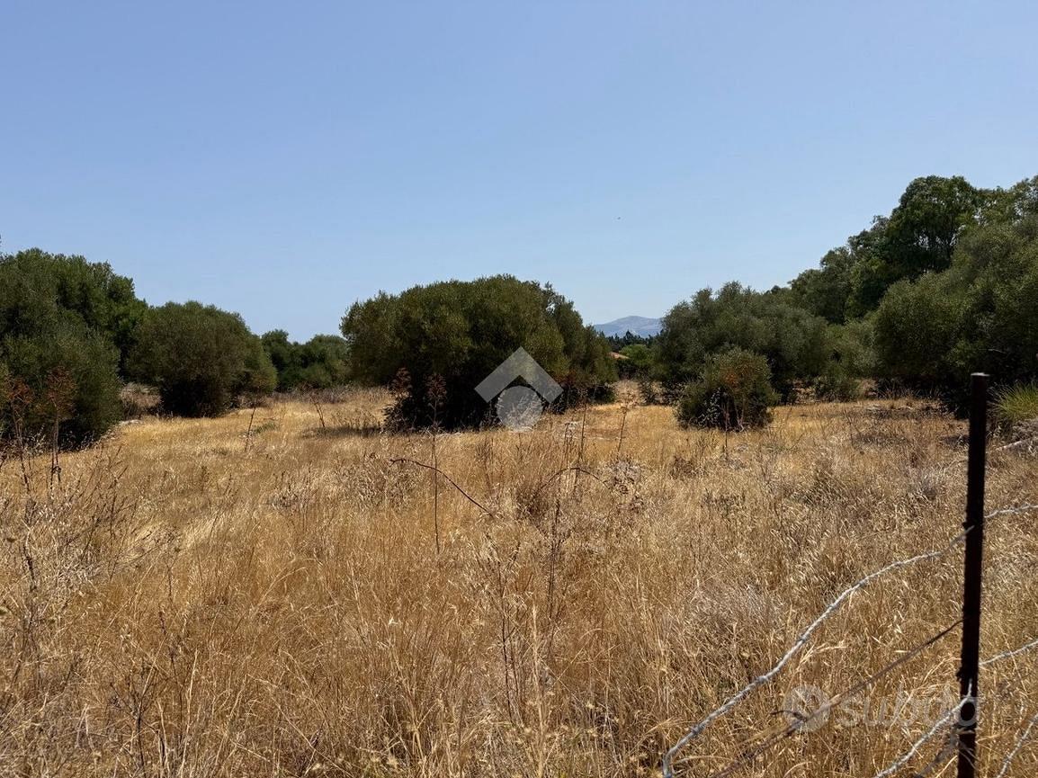 TER. AGRICOLO A CINISI - Vista 4