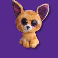 Ty - Chihuahua maculato "Pablo" a. 2016 - 15 cm.