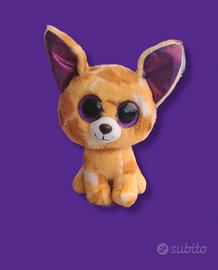 Ty - Chihuahua maculato "Pablo" a. 2016 - 15 cm.