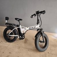 Bicicletta elettrica 