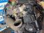 Immagine 6