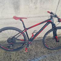 MTB Focus Raven 