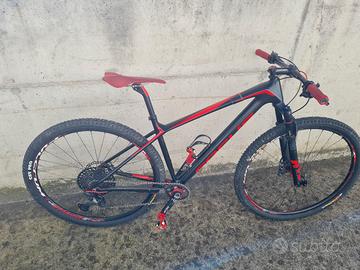 MTB Focus Raven 