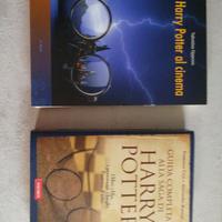Libri sulla saga di Harry Potter