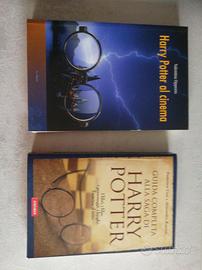 Libri sulla saga di Harry Potter
