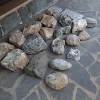 sassi da giardino 