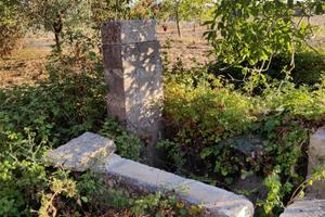 Terreno agricolo in agro di palmariggi (le)