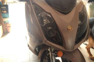 Altro Altro modello - 2016