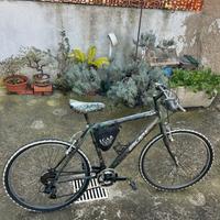 Mountain Bike semi-nuova
