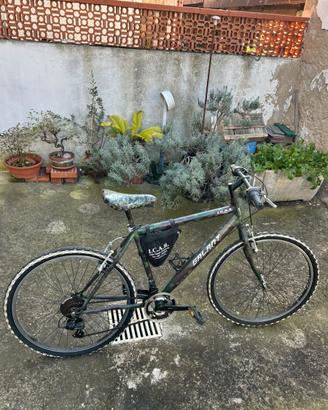 Mountain Bike semi-nuova