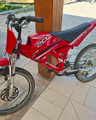 Bicicletta stile motocross