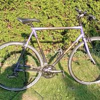 BICI Ibrida Cadex Giant