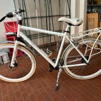 BICICLETTA OLYMPIA UOMO