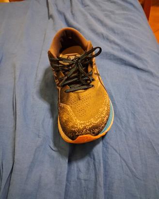 scarpa asisc