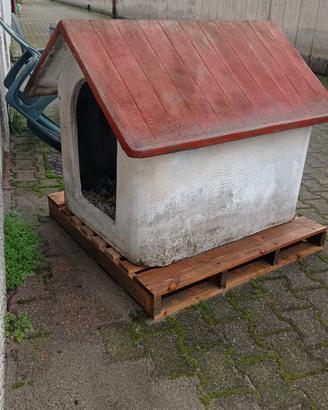 cuccia cani casetta per animali