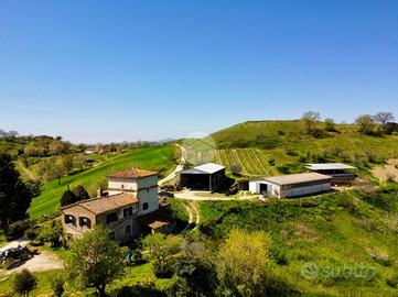 CASA INDIPENDENTE A MONTEBUONO