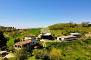 CASA INDIPENDENTE A MONTEBUONO