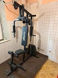 Palestra Energetics