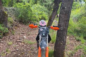 KTM 85 sx