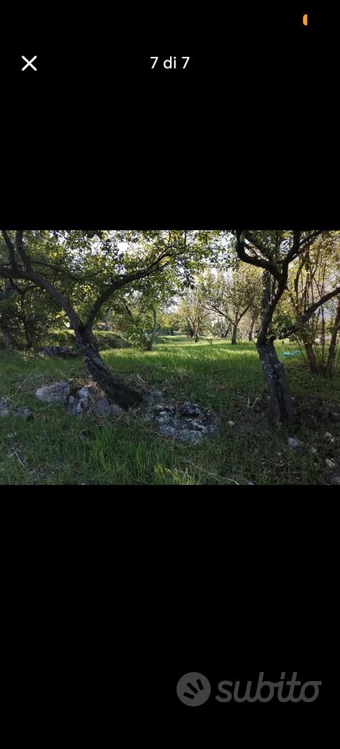 Terreno con alberi da frutto - Altro