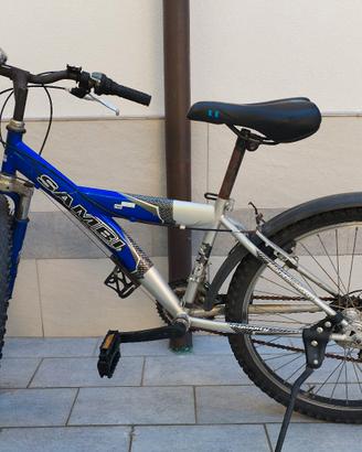 bicicletta sambi