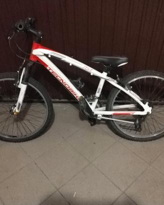 Bici ragazzo Tecnobike