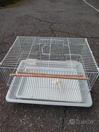 gabbia per volatili 