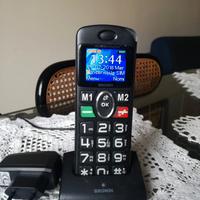 Brondi "Amico Pratico"