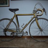 OLMO COMPETITION oro