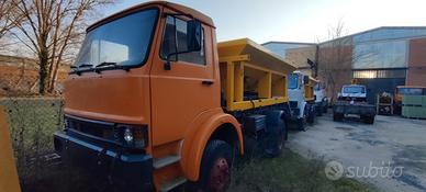 Camion con spargisale/Sabbia