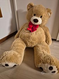 orso gigante