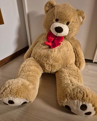 orso gigante