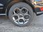 Immagine 15