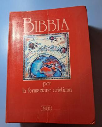 Bibbia 1994 più di 2000 pagine 