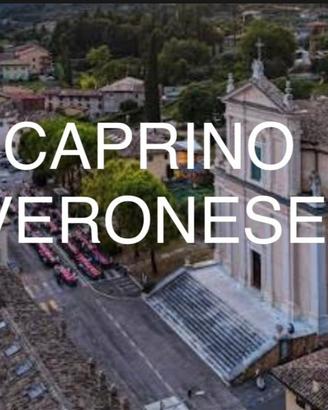 Caprino veronese-trilocale