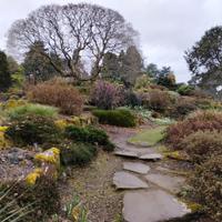 Giardiniere e arboricoltore