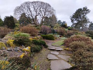 Giardiniere e arboricoltore