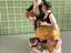 Immagine 6