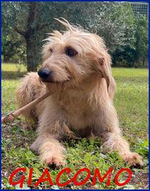 GIACOMO ha vissuto l'inferno ma è pronto per una f