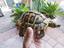 Immagine 4