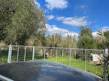 Terreno agricolo circa 200mq recintato