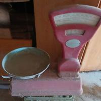 bilancia Bizerba divisione 5 grammi